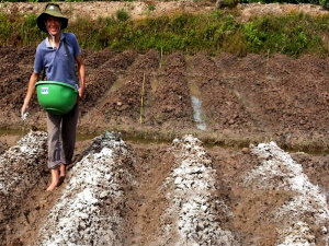 ứng dụng vôi bột