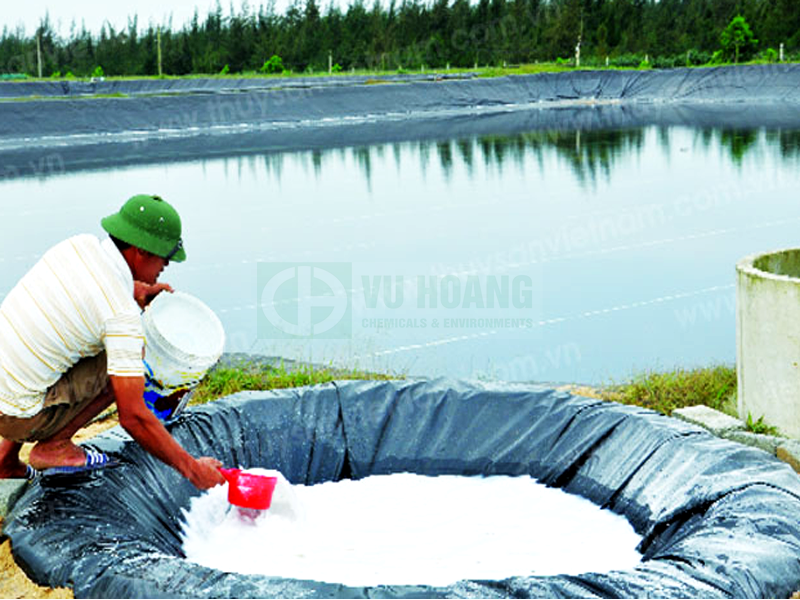 ứng dụng vôi bột trong thủy sản