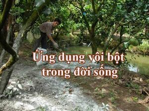 Ứng dụng vôi bột trong đời sống