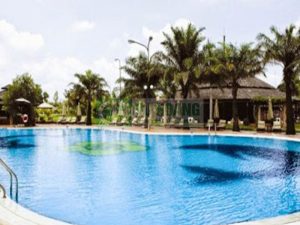 NaOH- Hóa chát xử lý nước hồ bơi