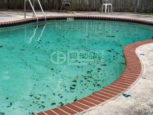 Xử lý nước hồ bơi như thế nào?