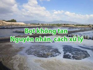 Bọt không tan (váng bọt) trong ao tôm- Nguyên nhân, cách xử lý