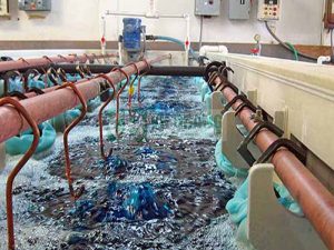 Bước khử trùng trong một hệ thống xử lý nước thải