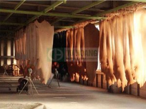 Đề xuất phương án xử lý nước thải thuộc da tối ưu