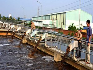 Xử lý nước thải công nghiệp- Nguyên nhân, khó khăn trong xử lý.