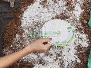 cong-dung-voi-bot-rat-da-dang-trong-nong-nghiep