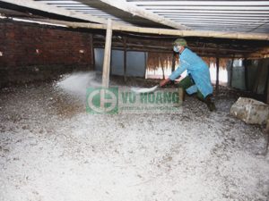 xu-ly-chuong-trai-bang-voi