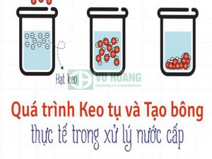 So sánh quá trình keo tụ và tạo bông