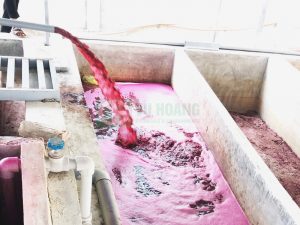 hoa-chat-khu-mau-có-kha-nang-xu-ly-nhieu-thuoc-nhuom