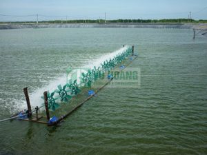 3 loại hoá chất xử lý nước người nuôi tôm nào cũng phải biết