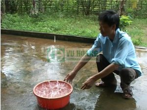 Xử lý nước và vệ sinh môi trường khi bão lụt