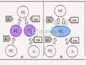 Kiểm soát nito trong nước thải sinh hoạt