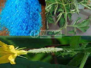 Ảnh hưởng của Đồng đối với cây trồng