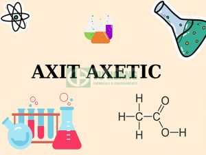Acid Acetic có độc không? Mua bán dấm công nghiệp an toàn