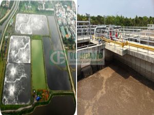 Các loại hồ sinh học xử lý nước thải phổ biến - Hoá chất Vũ Hoàng