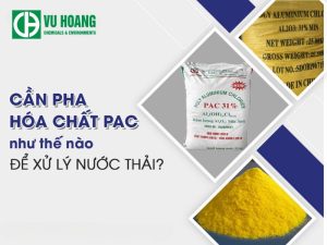 Chác pha hóa chất PAC 30-31% chuẩn