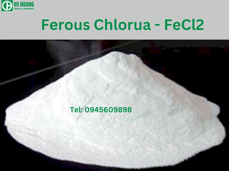 Hóa chất FeCl2 có giá rẻ nhất Miền Bắc – Công ty TNHH Công nghệ Hóa ...
