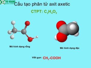 Cấu tạo phân tử CH3COOH