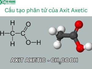 Cấu tạo phân tử CH3COOH