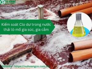 Kiểm soát Clo dư trong nước thải lò mổ gia súc, gia cầm