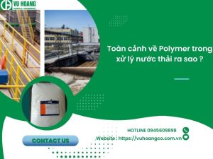 Toàn cảnh về Polymer trong xử lý nước thải ra sao ?