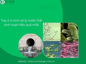 Top 2 vi sinh xử lý nước thải sinh hoạt hiệu quả nhất