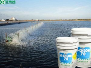 Clorin 70% được sử dụng để diệt khuẩn cho các ao nuôi trồng thủy sản