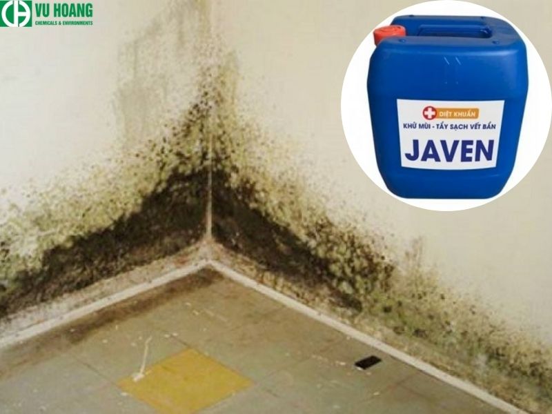 Nước Javen tẩy mốc tường được không? Cách sử dụng nhanh chóng, hiệu quả ...