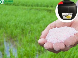Ứng dụng của HNO3 trong sản xuất phân bón