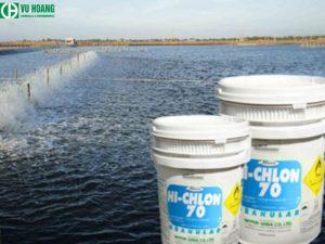 Clorin xử lý nước ao nuôi tôm