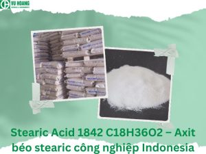 Stearic Acid 1842 C18H36O2 – Axit béo stearic công nghiệp Indonesia