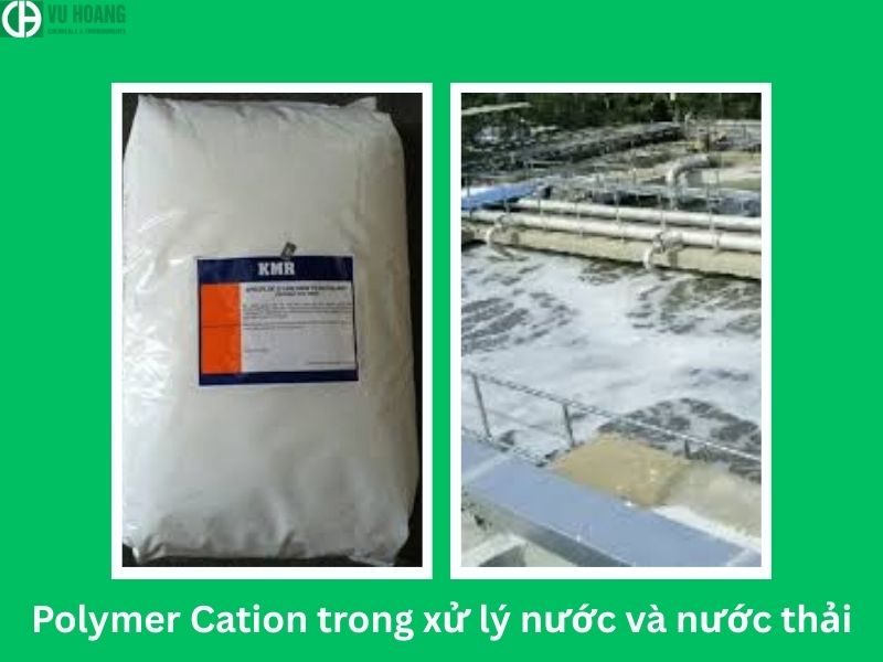 Các loại Polymer Cation: Giải pháp keo tụ hiệu quả cho xử lý nước và ...
