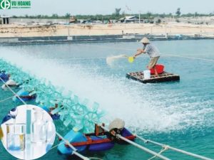 Công dụng của Clorin trong ngành thủy sản