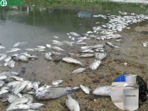 Tác hại của axit H2SO4 đối với sinh vật