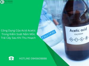 Công Dụng Của Acid Acetic Trong Kiểm Soát Nấm Mốc Trái Cây Sau Khi Thu Hoạch