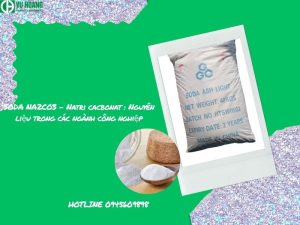 SODA NA2CO3 – Natri cacbonat : Nguyên liệu trong các ngành công nghiệp