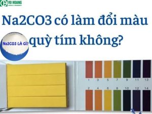 Na2CO3 làm quỳ tím chuyển màu gì? Hóa xanh hay hóa đỏ?