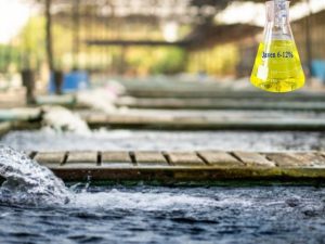 Nước javen được dùng trong khử trùng, diệt khuẩn nước