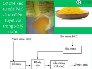 Cơ chế keo tụ của PAC và ưu điểm tuyệt vời trong xử lý nước