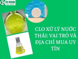 Clo xử lý nước thải: Vai trò và địa chỉ mua uy tín