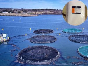 Polymer anion dùng cải thiện chất lượng nước trong các ao nuôi thuỷ sản