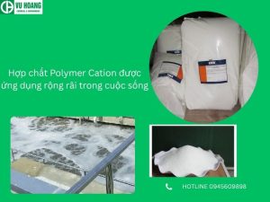Hợp chất Polymer Cation được ứng dụng rộng rãi trong cuộc sống