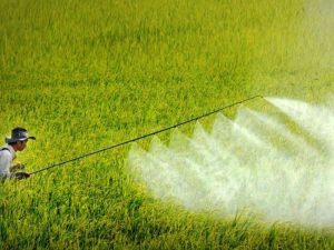 Ứng dụng của FeCl3 trong sản xuất thuốc trừ sâu