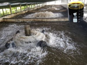 Ferric chloride được sử dụng rộng rãi trong việc xử lý nước cấp và nước thải