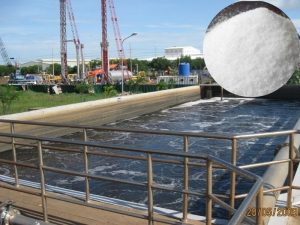 Polymer Cation được ứng dụng trong lĩnh vực xử lý nước