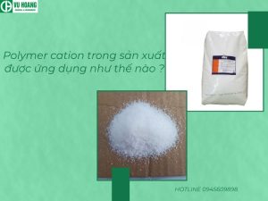 Polymer cation trong sản xuất được ứng dụng như thế nào ?