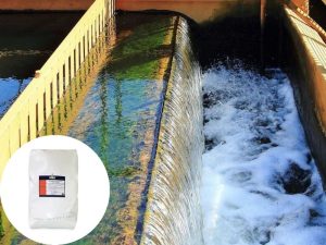 Polymer Cation là thành phần quan trọng trong quy trình xử lý nước