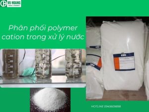Phân phối polymer cation trong xử lý nước