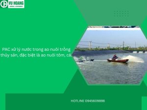 PAC xử lý nước trong ao nuôi trồng thủy sản, đặc biệt là ao nuôi tôm, cá.