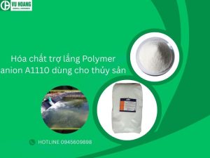 Hóa chất trợ lắng Polymer anion A1110 dùng cho thủy sản